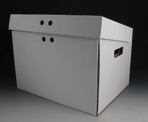 Quality Simple &amp; fashionable new carton files boxes wholesale
