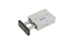 Quality TN Double Shaft Pneumatic Gas Cylinder 10mm - 32mm For Pneumatic Automation System wholesale