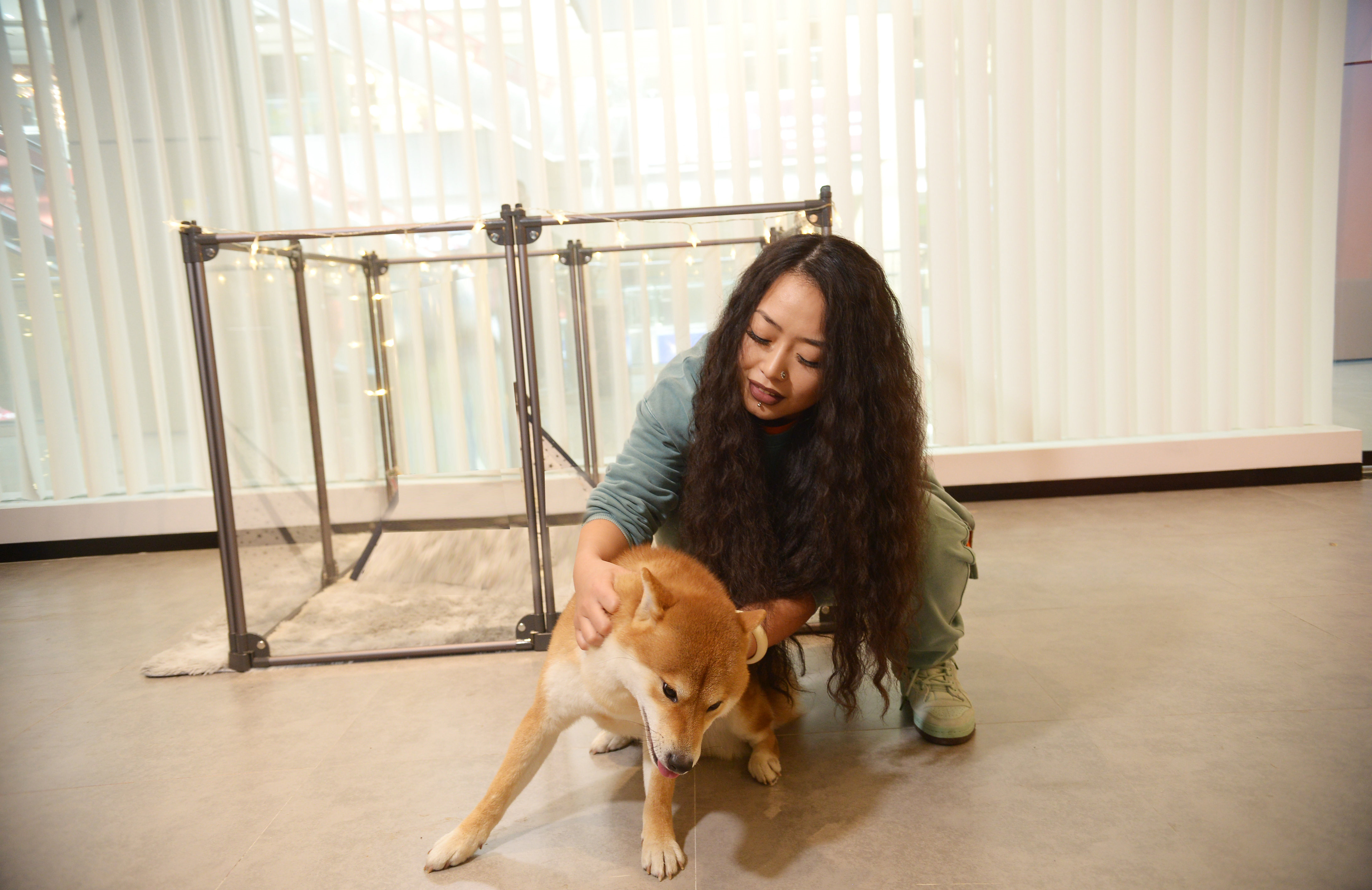 Foldable Metal Pet Fence Indoor Clear Acrylic Playpen For Animals