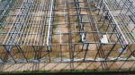 4000㎡ Prefabricated Steel Structure Warehouse H Section Steel