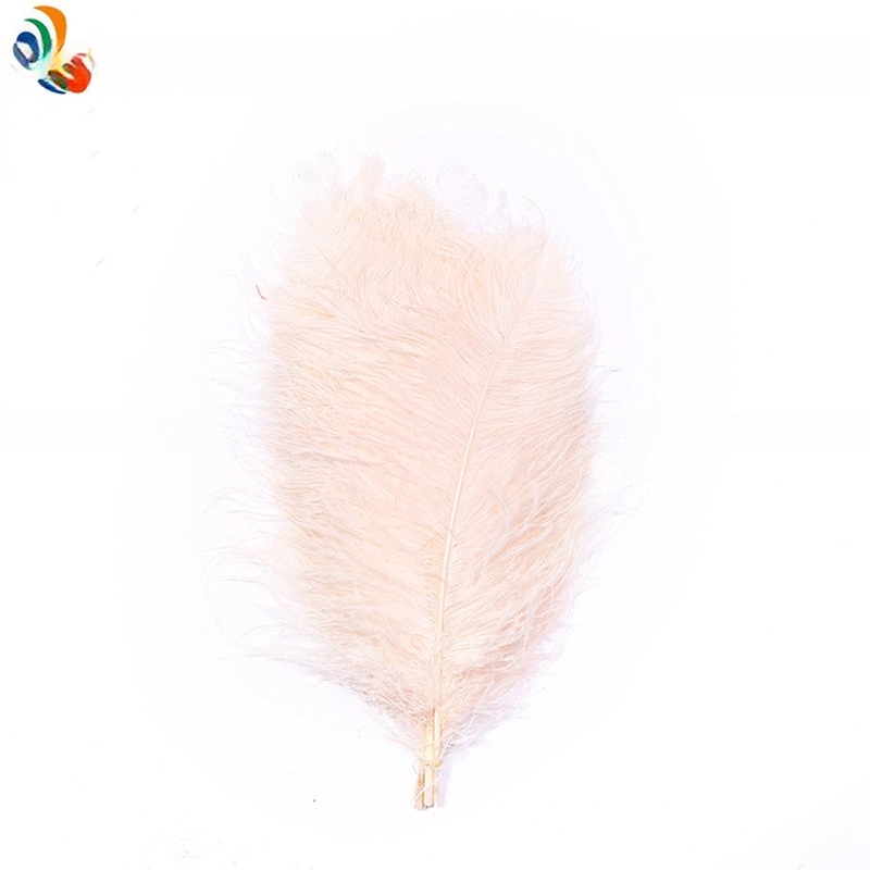 Ostrich Feather for Millinery Supplies EMS Shipping Party and Carnival Decoration