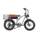 Electric Fat Bike 500W 750W Super Nice 73 Electric Bike with 48V 18AH Lithium