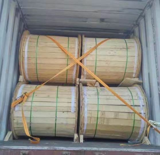 BS/ASTM/DIN/IEC Standard 500/65 Bare Aluminum Conductor Steel Wire Reinforced ACSR Overhead Cable