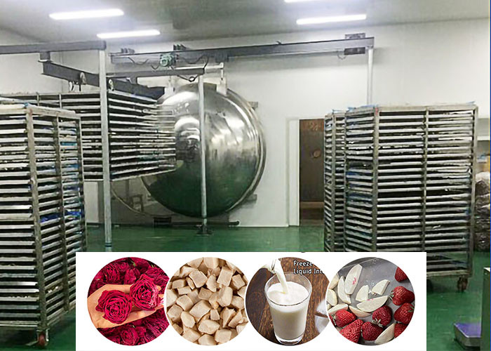 Medium Industrial Vacuum Freeze Drying Machine Food Vegetable