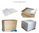 48*64cm Water Based Ink PET Offset Printing Film Chemical Resistance 75mic PET