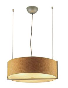 Quality 2013 pendant lamp,steel ceiling lamp wholesale