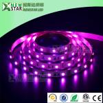 3825 RGB red blue green 3 colors in one LED SMD3528 RGB full color dc12v 24v