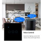 European Standard Tuya Black Tempered Glass Smart Wall Mounted Wi Fi Switch Type
