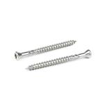 Carefully Crafted Stainless Steel304 60mm Torx Deck Screw for Wooden Ceiling