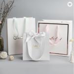 Custom Logo Printed Debossed PMS Paper Bag Packaging For Retail Shopping