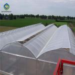 Arch Roof 10.8m PC Sheet Greenhouse Flower Growing