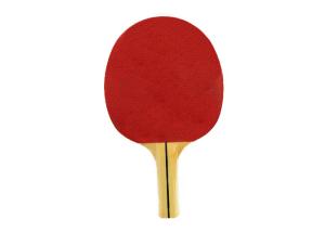 Quality Family Beginner Table Tennis Bats Simple Standard Size Pimple Out Rubber Without Sponge wholesale