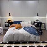 Skin-Friendly Aloe Cotton Four-Piece Duvet Cover Bedding Sheet Set with 133x72