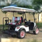 Electric Golf Cart 4 Seats 80-1200km Range 6Hours Charging Time with lithium