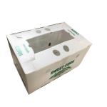Fruit Corrugated Plastic Packaging Broccoli PP Corrugated Sheet Box