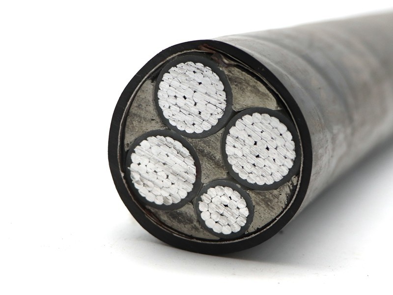 Standard Copper XLPE Insulated Power Cable with PVC PE Jacket YJV YJLV YJLV22 YJV22