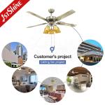 Support Dimmer 52 Inches Stainless Steel Lighting Ceiling Fan with AC Motor Pure