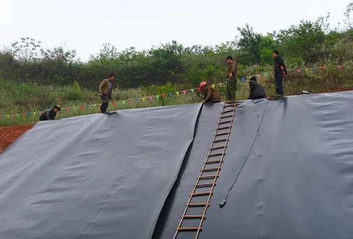 Minimalist HDPE Geomembrane for Farm Pond Liner 1mm 1.5mm 2mm Thickness Length 50-200m