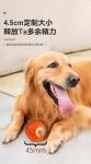 Durable TPE Pet Toy Balls - Safe and Long-Lasting