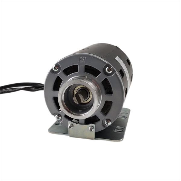 220v 115v Electric Water Pump Motor Carbonate Booster Pump Motor For Cola Coffee
