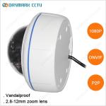 Waterproof Megapixel Dome Camera 2.8-12mm Lens 1080p