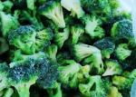 Crop IQF Frozen Broccoli And Frozen Vegetables Quick Frozen Foods