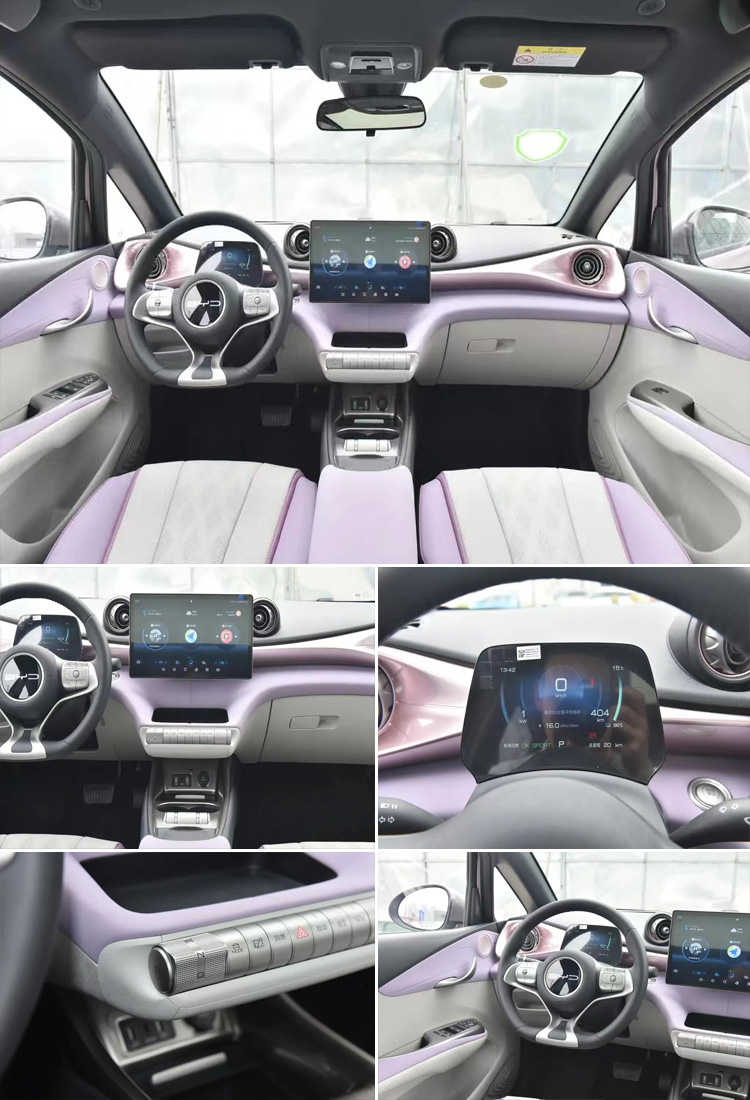 Dongfeng Geely Yutong Bus Prices Byd Haitun Dolphin Electric Vehicles for High Efficienc