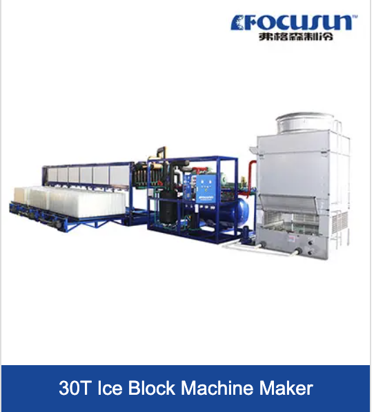 Video Outgoing-Inspection Provided Small Capacity Plate Ice Machine 1200 KG