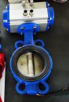 Standard wafer type butterfly valve Pn16 Pressure Rating API 598 Testing