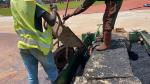 Stadium Eco Sports Flooring Waterproof Synthetic Sports Flooring