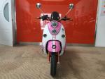 Electric Tricycle Scooter With 800W Brushless Powered Tricycles For Adults Lead