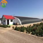 Film Agricultural Solar Greenhouses Maximize Your Vegetable Fruits and Flowers