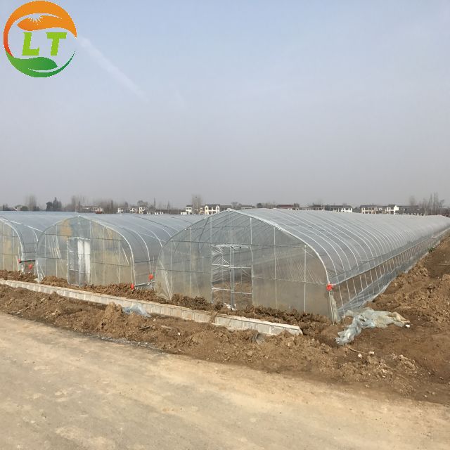 General Storage Greenhouse Skeleton for Small-Scale Mushroom and Vegetable Farming