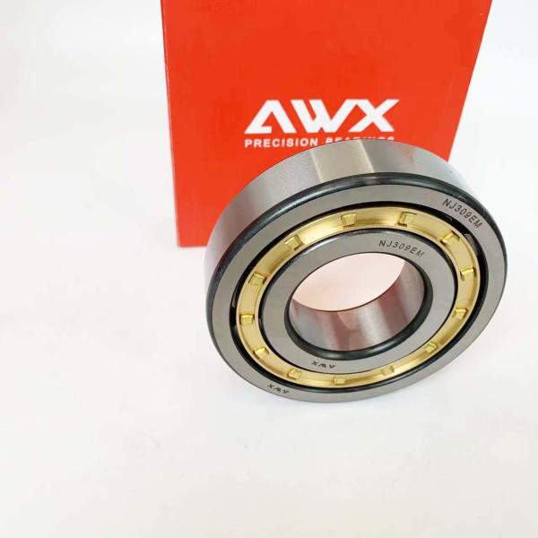 High Performance NJ306EM NJ307EM NJ308EM Cylindrical Roller Bearing NJ2213EM