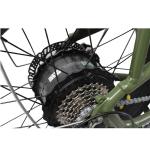 Electric Dirt Bike for 2 Riders 48V 13Ah City Cruising Fat Tire Beach Cruiser e