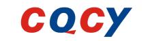 China Chongqing Chuanyi Automation Limited logo