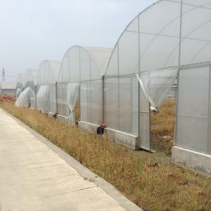 Quality Hydroponic Poly Film Multi Span Greenhouse wholesale