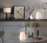 Ultrasonic Essential Oil Aroma Diffuser Air Humidifier