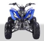 223mL Capacity 250cc Atv Quad