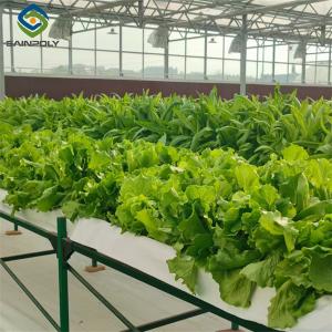 Quality Commercial Lettuce Greenhouse Low Maintenance Weather Resistant wholesale