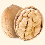 China wholesale XinJiang 185 33 xiner xinfeng xingfu walnuts in shell with extra