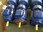 Y2 Y3 YE3 Cast Iron Electric Motor 0.12kw-350kw Three Phase Asynchronous