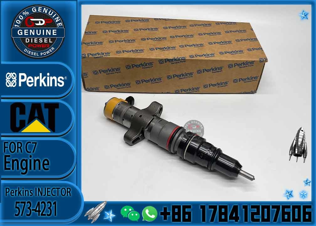 Diesel Engine Parts Common Rail Fuel Injector 573-4231 for CAT C9 330D 340D 336D Excavator CNDIP Factory price