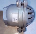 female BS21 cast iron foot valve factory from China