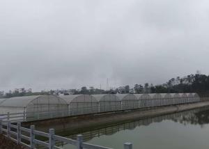 Quality Intelligent Control Agricultural Greenhouse For Farming Vegetables Flowers wholesale