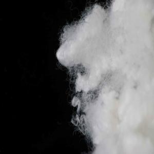 Quality 7D Flame Retardant Fiber 64mm Flame Retardant Hollow Conjugated Polyester Fibre wholesale