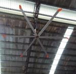 60Hz 7 diameter Large Industrial ceiling fans in philippines factory low rpm