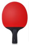 6.4mm Thickness Poplar Wood Table Tennis Set Winter Olympic 3 Star Black