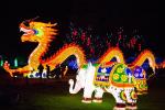 Animal Shaped Electric Chinese Lanterns , Large LED Lantern Lights