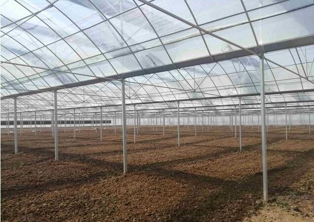 Width 6M 8M 10M Polyethylene Film Greenhouse Uv Resistant